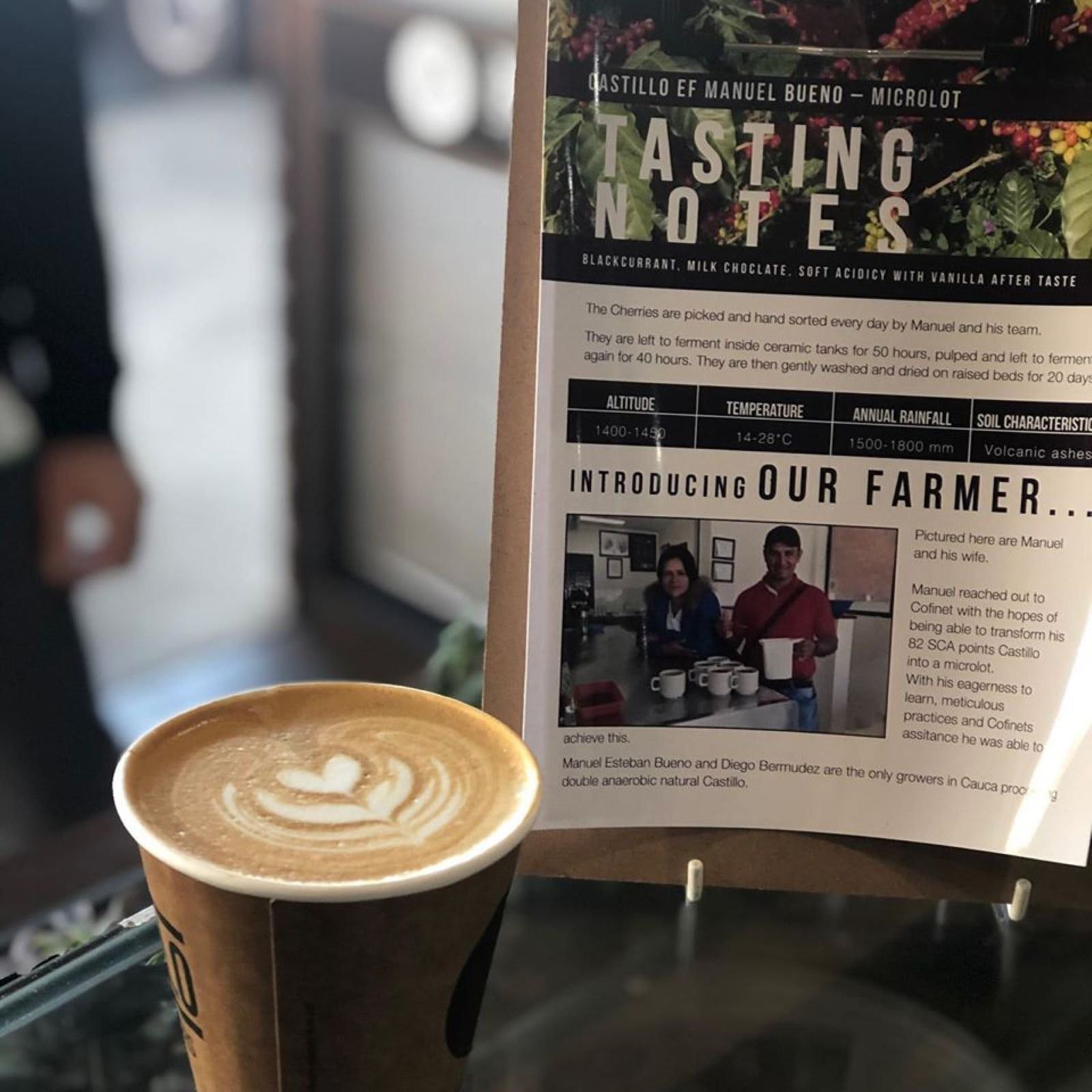 Piccolo Coffee Roasters Visit Great Ocean Road